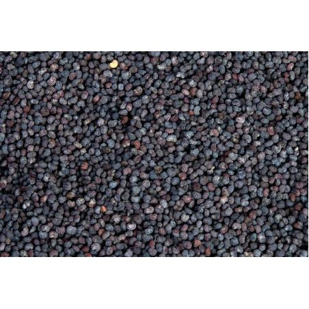 Pavot bleu graines 50g