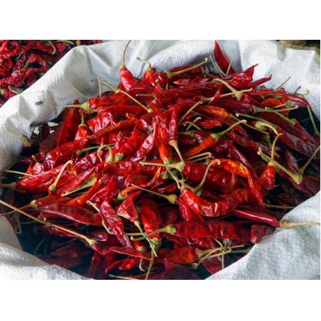 Piment de Cayenne entier 25g