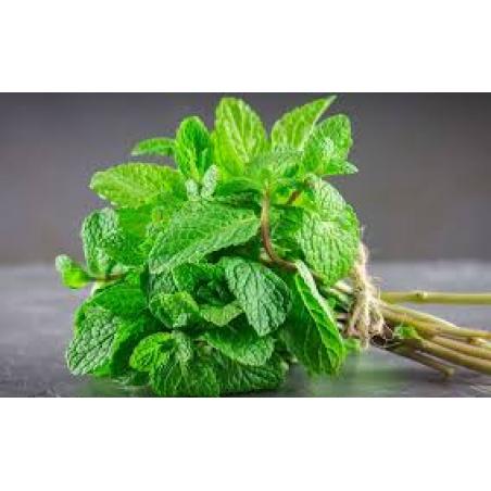 Menthe verte 10mL