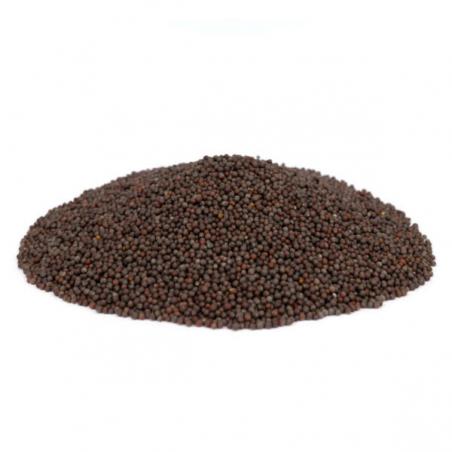 Moutarde noire graines 50g